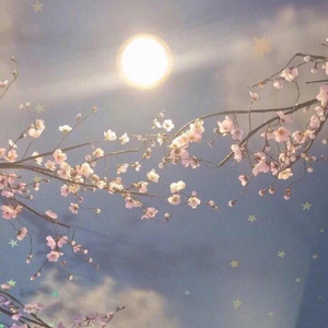 李老汉的幸福生活1-13集免费观看第2季
